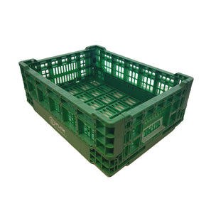 Green Collapsible Vegetable Basket (Big) image 0